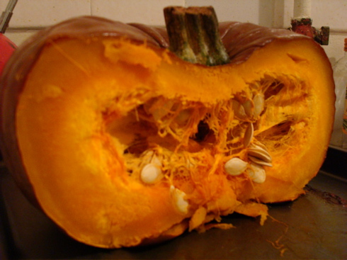 Pumpkin Half