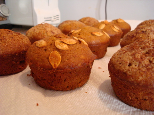 Pumpkin Muffins