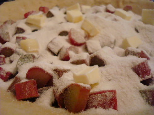 rhubarbsugar