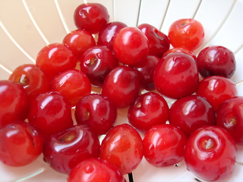 sconecherry