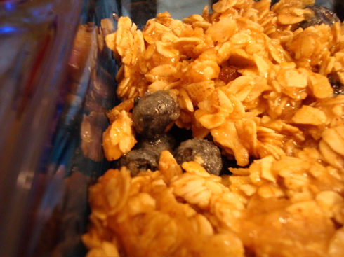 blueberrycrisp