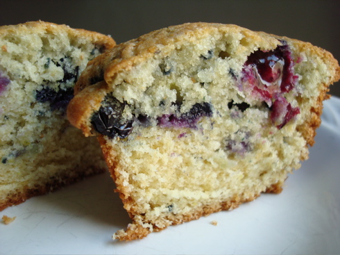 blueberryfig blueberryfig