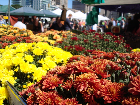 market7