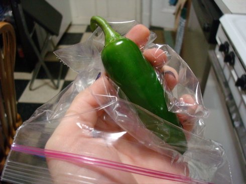 tomatillo3 tomatillo3