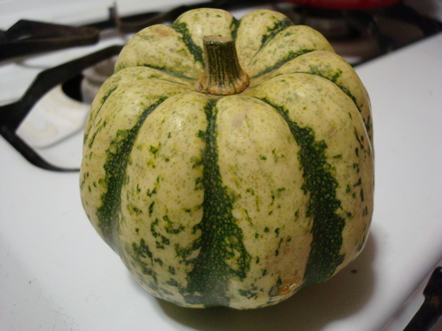 squash