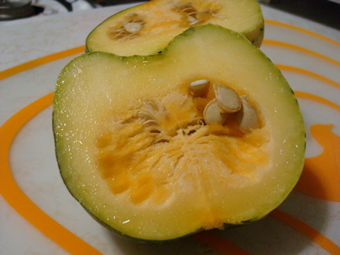 squash2