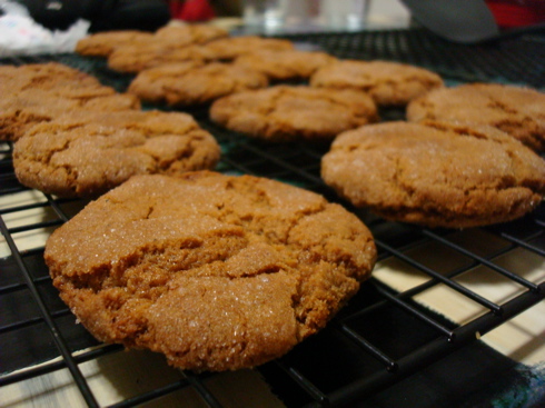 molasses cookies molasses cookies